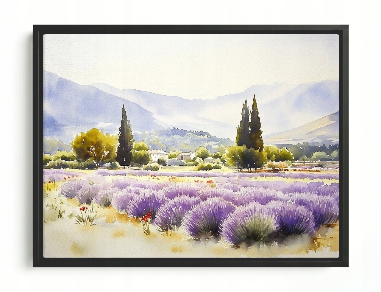 Obraz Rám Americký Box Krajina Francie Provence Hory Pole Květiny 80x60