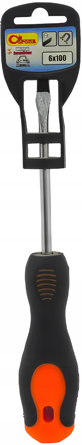 WKRĘTAK PŁASKI 6X100MM STAL CHROMOWO-MOLIBDENOWA RICHMANN C5425 Kod producenta C5425