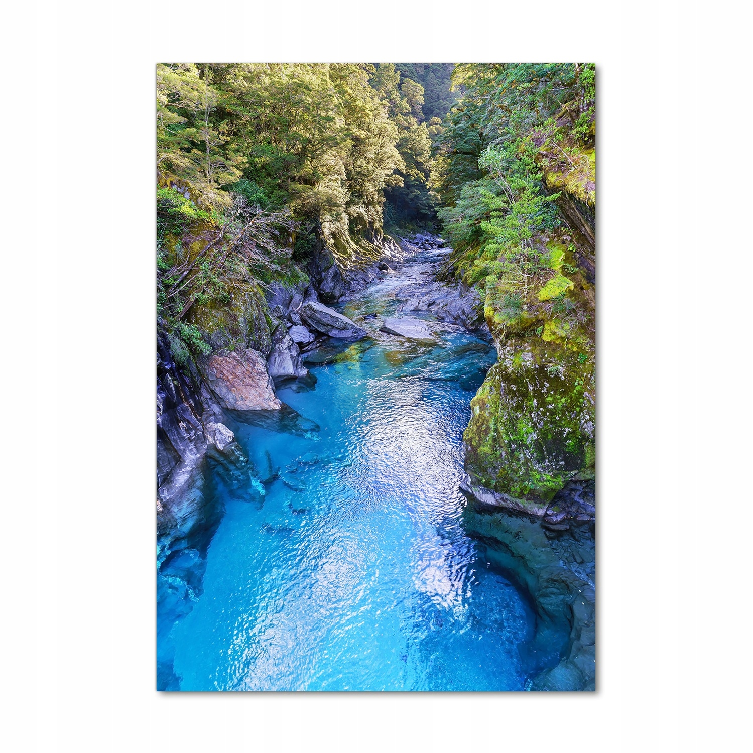 

Foto obraz szkło hartowane Rzeka w lesie 70x100 cm