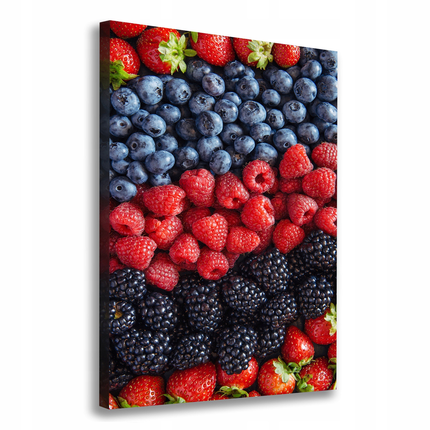 

Foto obraz na płótnie do salonu Owoce leśne 70x100