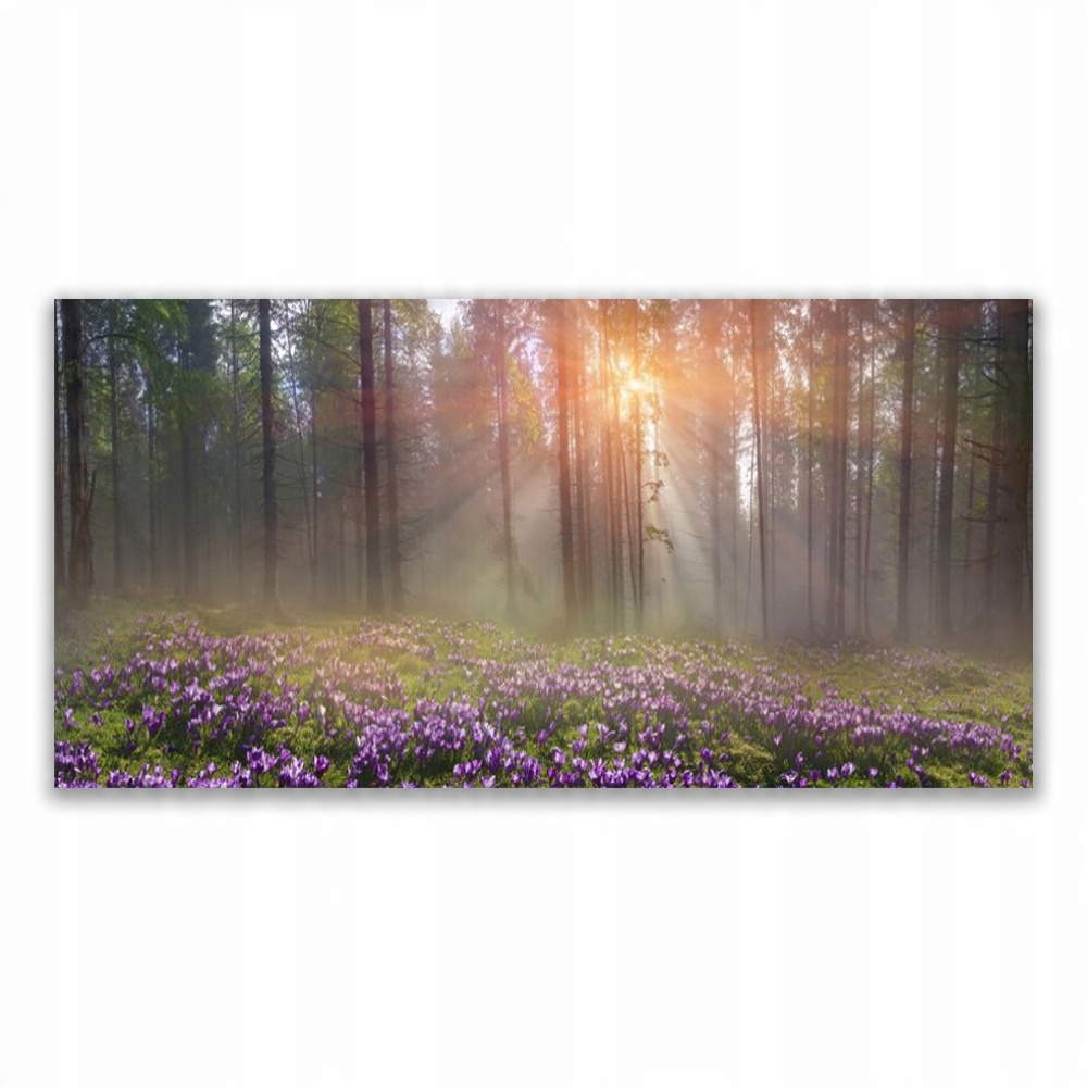 

Fotoobraz wiszący 120x60 Las Kwiaty Roślina Natura