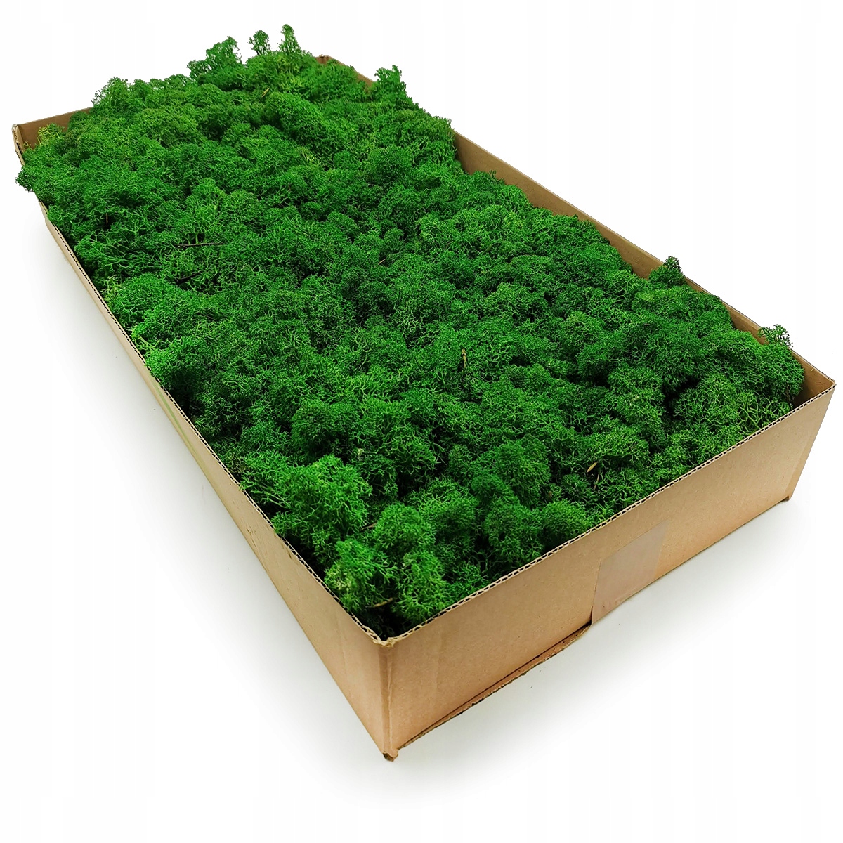 Sobí mech Alpský premium zelený 2kg