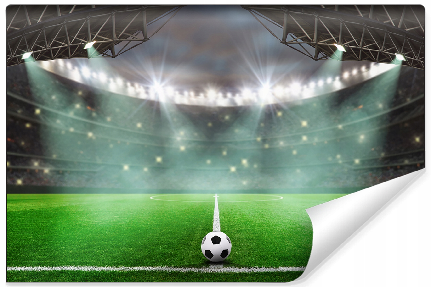 

Fototapeta Stadion Piłka Nożna Sport 3D 270x180
