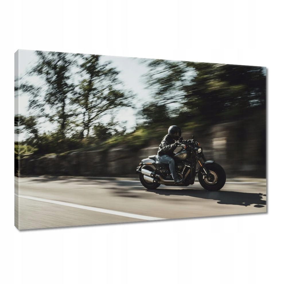 

Obrazy 90x60 Harley Davidson Motocykl