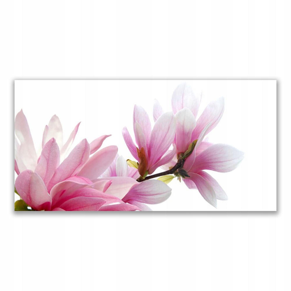 

Fotoobraz ścienny z grafiką 140x70 Magnolia Kwiat