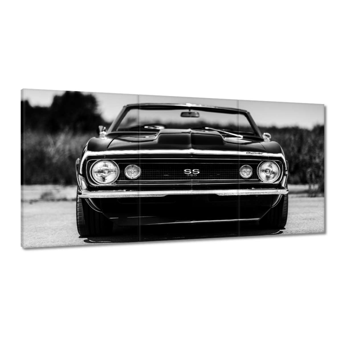Obrazy 180x90 Chevrolet Camaro Ss 350
