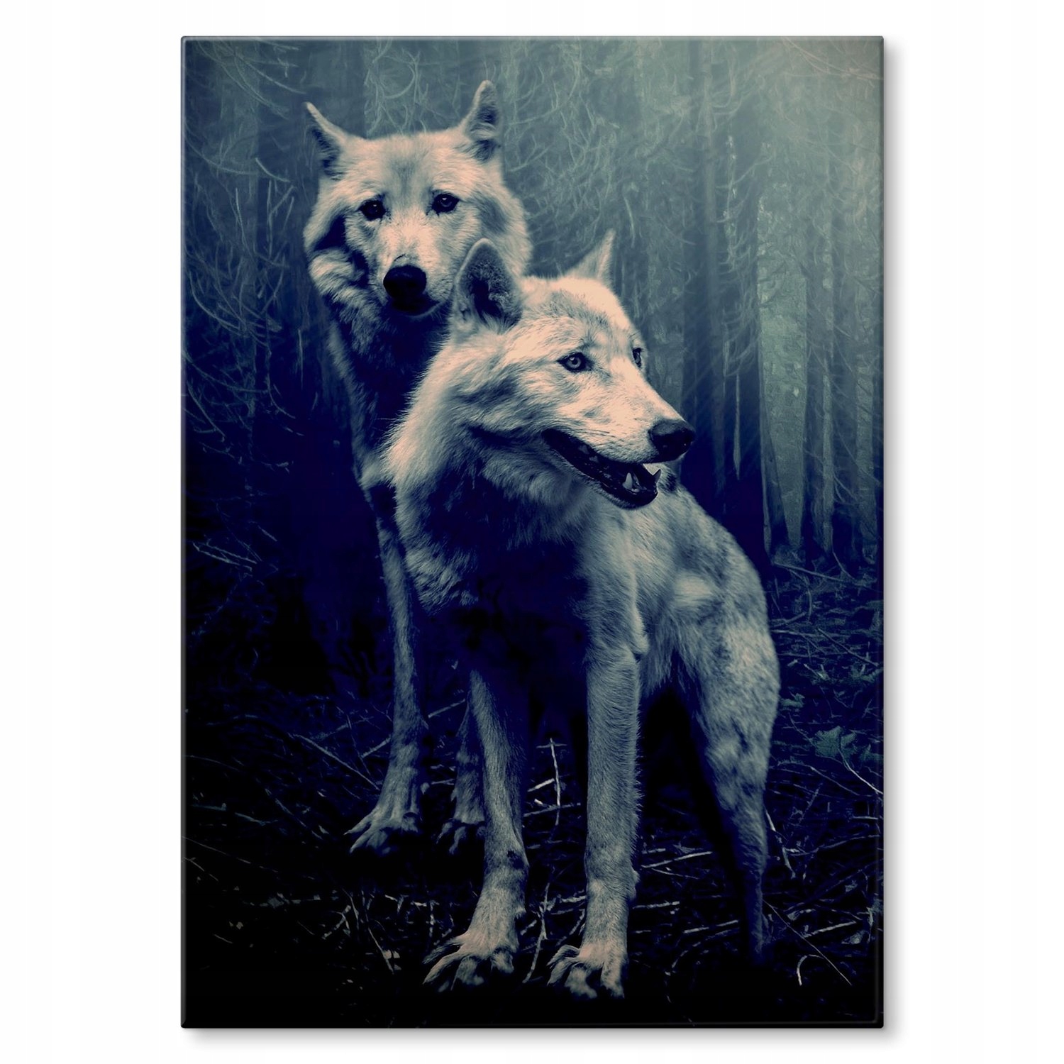 Kovový plakát Vlci v lese Dárek 30 x 42 cm