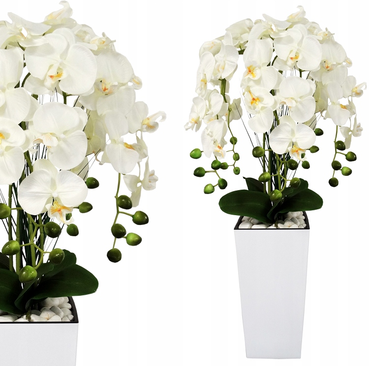 

Storczyk Sztuczny Storczyki Kwiat Orchidea