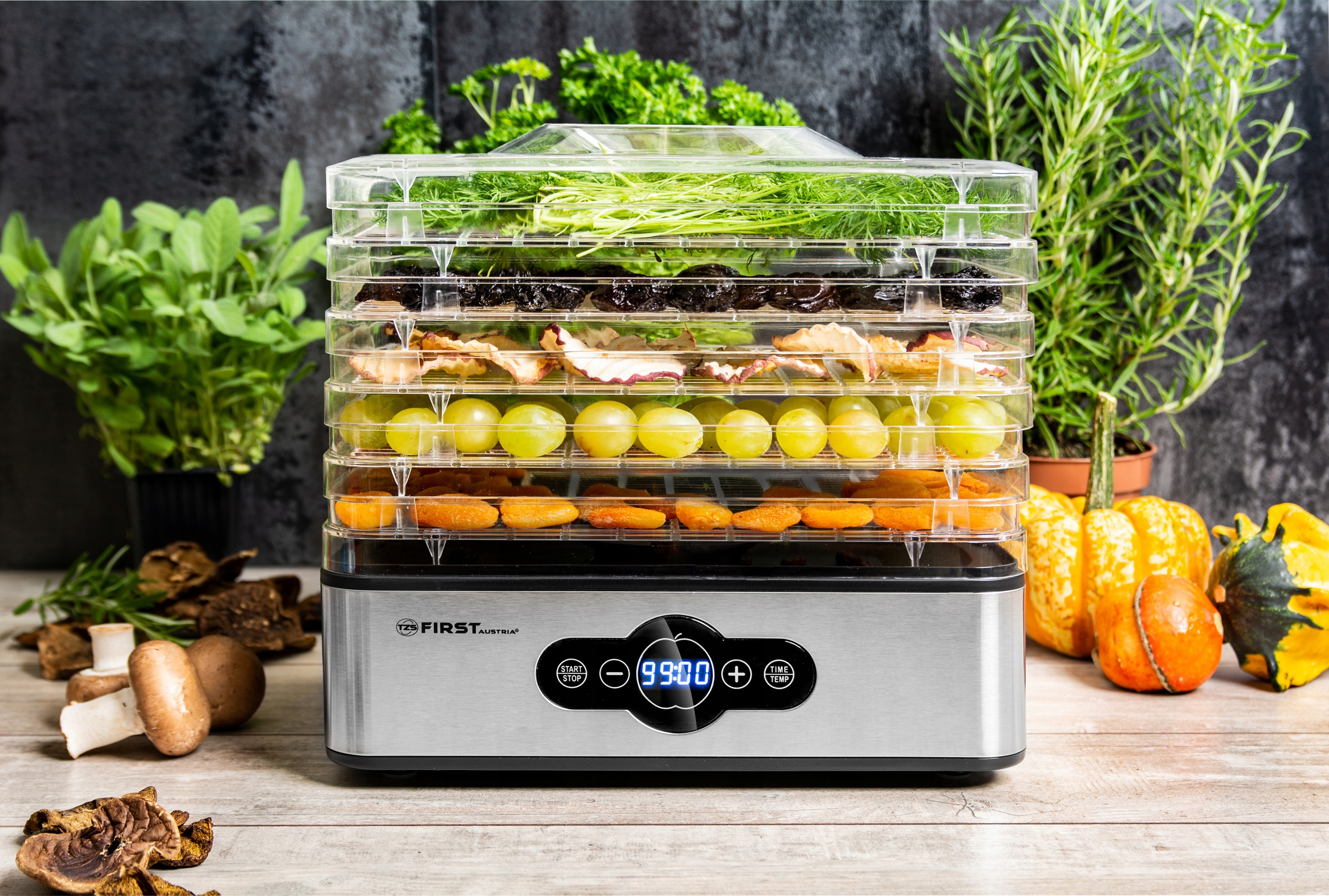 Suszarka do grzybów owoców STALOWE SITA FIRST AUSTRIA 240W EAN (GTIN) 9003898512663