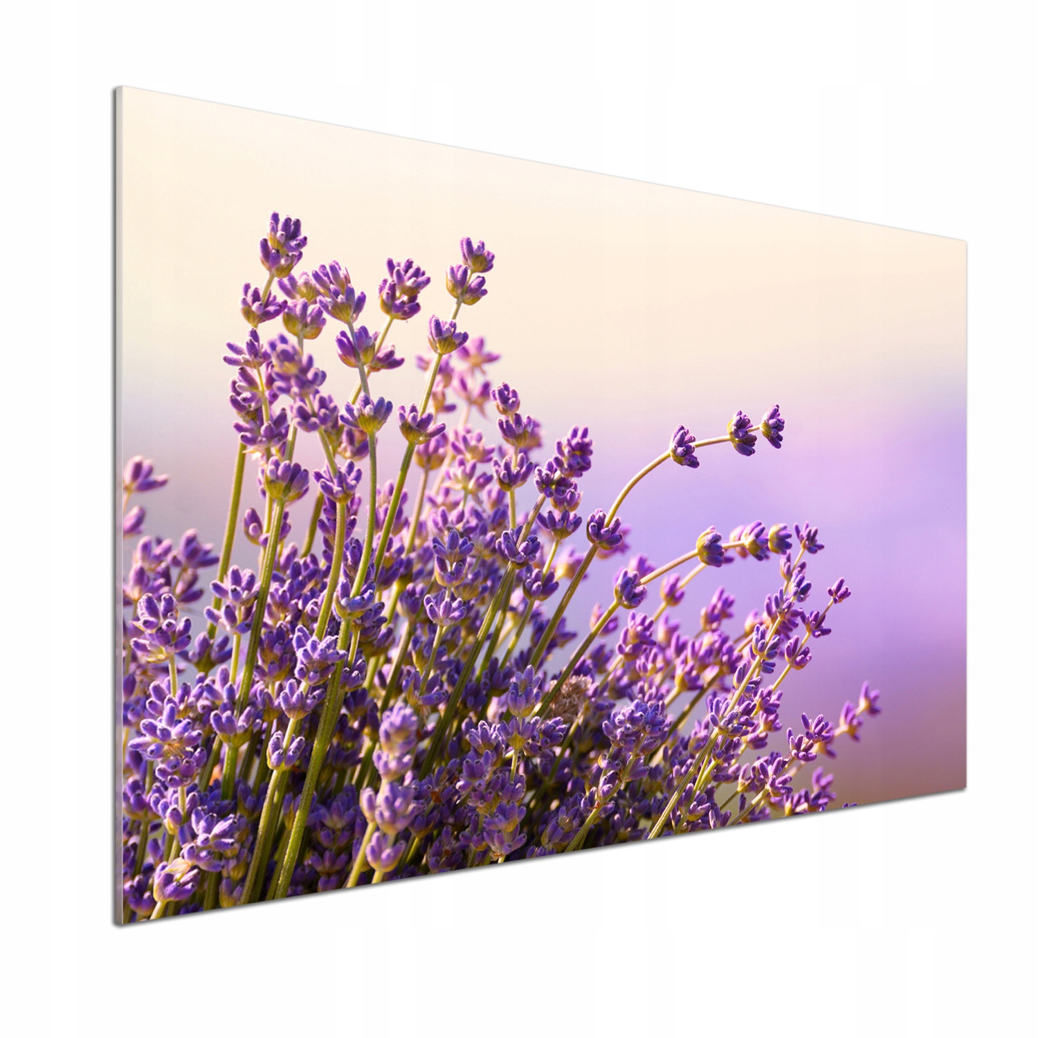 Sklenený panel do kuchyne Levanduľa 100 x 70 cm Lepidlo