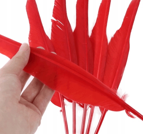 czerwone DŁUGIE PIÓRO GĘSIE 30-35 cm