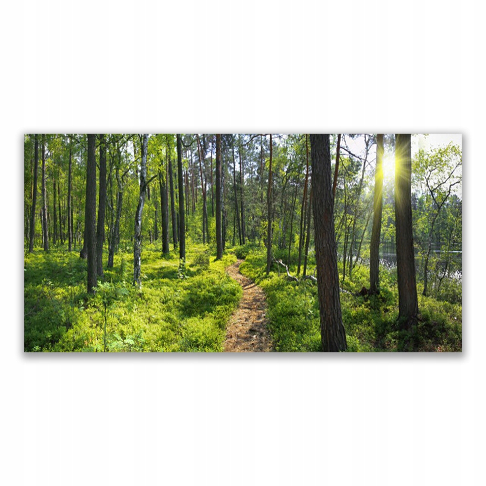 

Fotoobraz akryl 120x60 Las Ścieżka Dróżka Przyroda