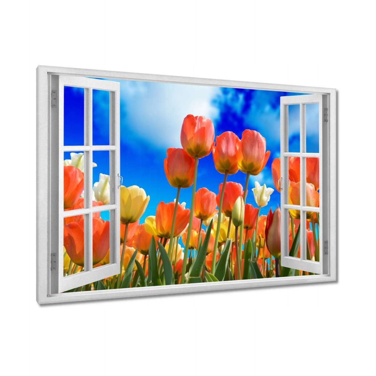 Obrazy 120x80 Barevné tulipány