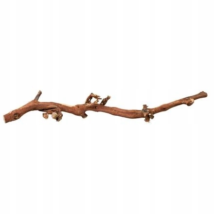 Levně Trixie Přírodní dekorace do terária, větev z vinné révy L 40-60cm