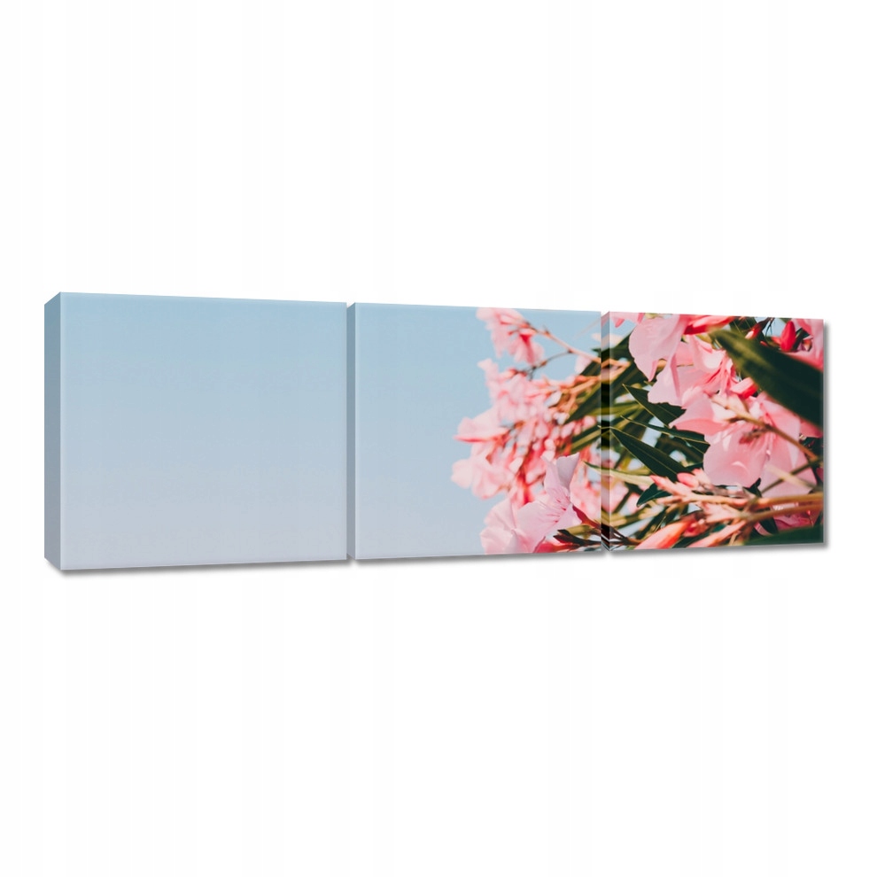 

Obrazy 120x40 Kwiatki Kwiaty Kwiatuszki