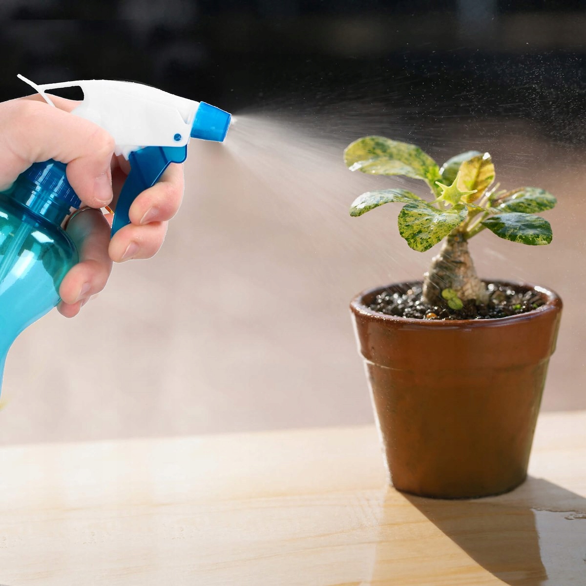 SPRYSKIWACZ DO KWIATÓW ROŚLIN ZRASZACZ ROZPYLACZ OPRYSKIWACZ OGRODOWY 350ml Kod producenta GA0064