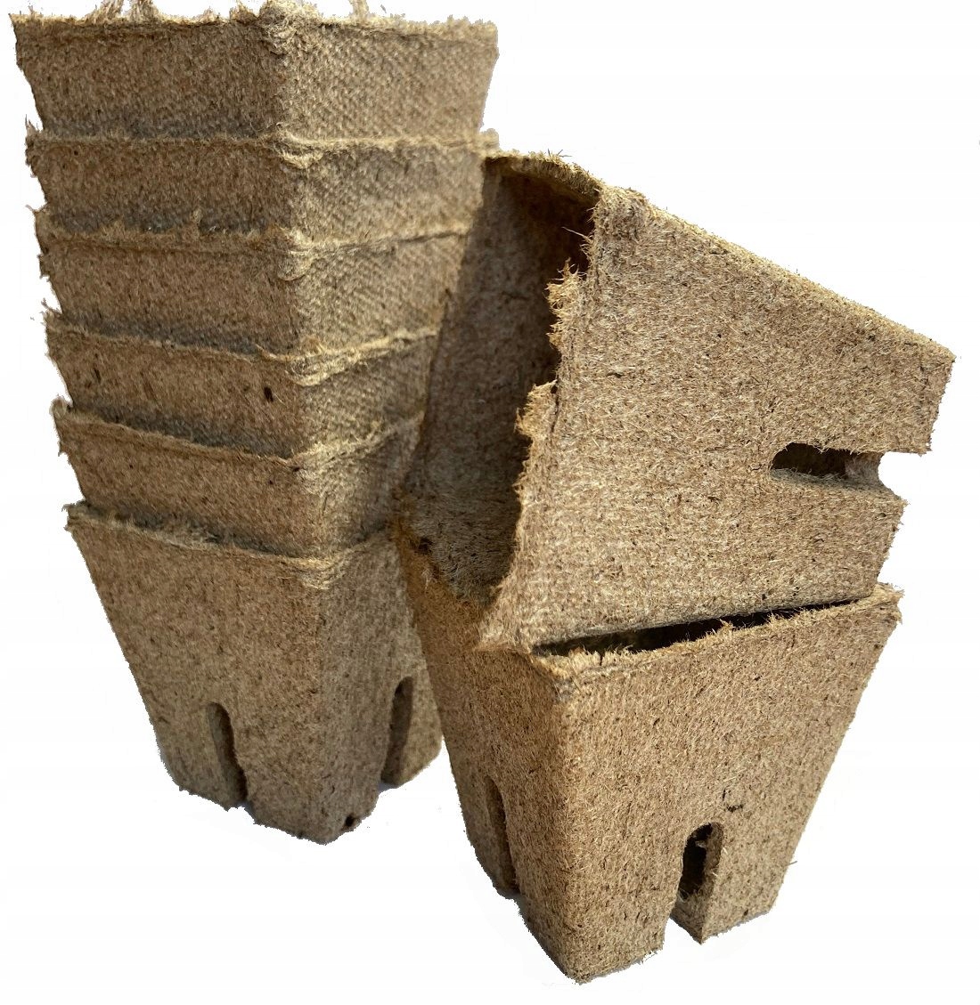 DONICZKI TORFOWE NA ROZSADY SADZONKI 6cm 60szt