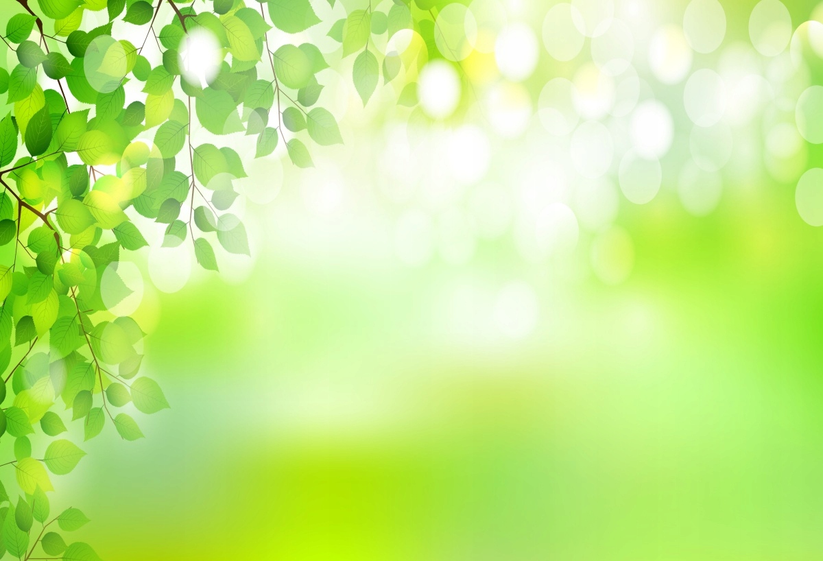 

Tapeta flizelinowa Liście Zielony 104x70