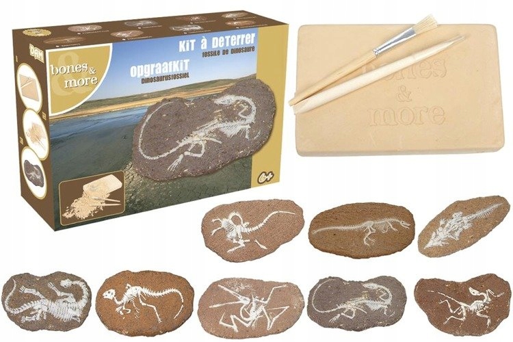 

Bones&More, Duży szkielet dinozaura wykopali