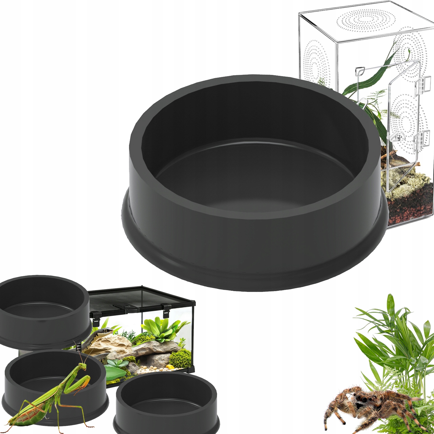Levně Malá miska do terária Miska pro pavouka stojící 5x5x1 50 Kusů