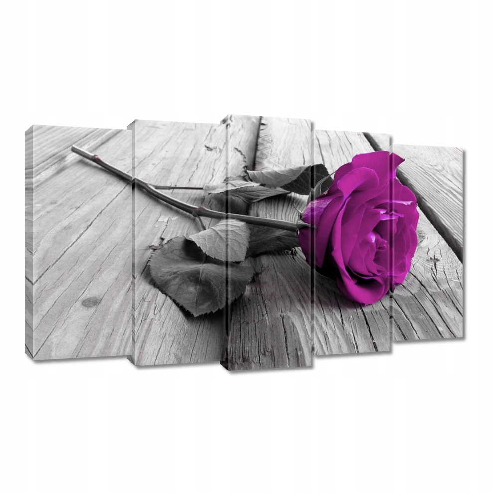 

Obrazy 100x60 Fioletowa róża