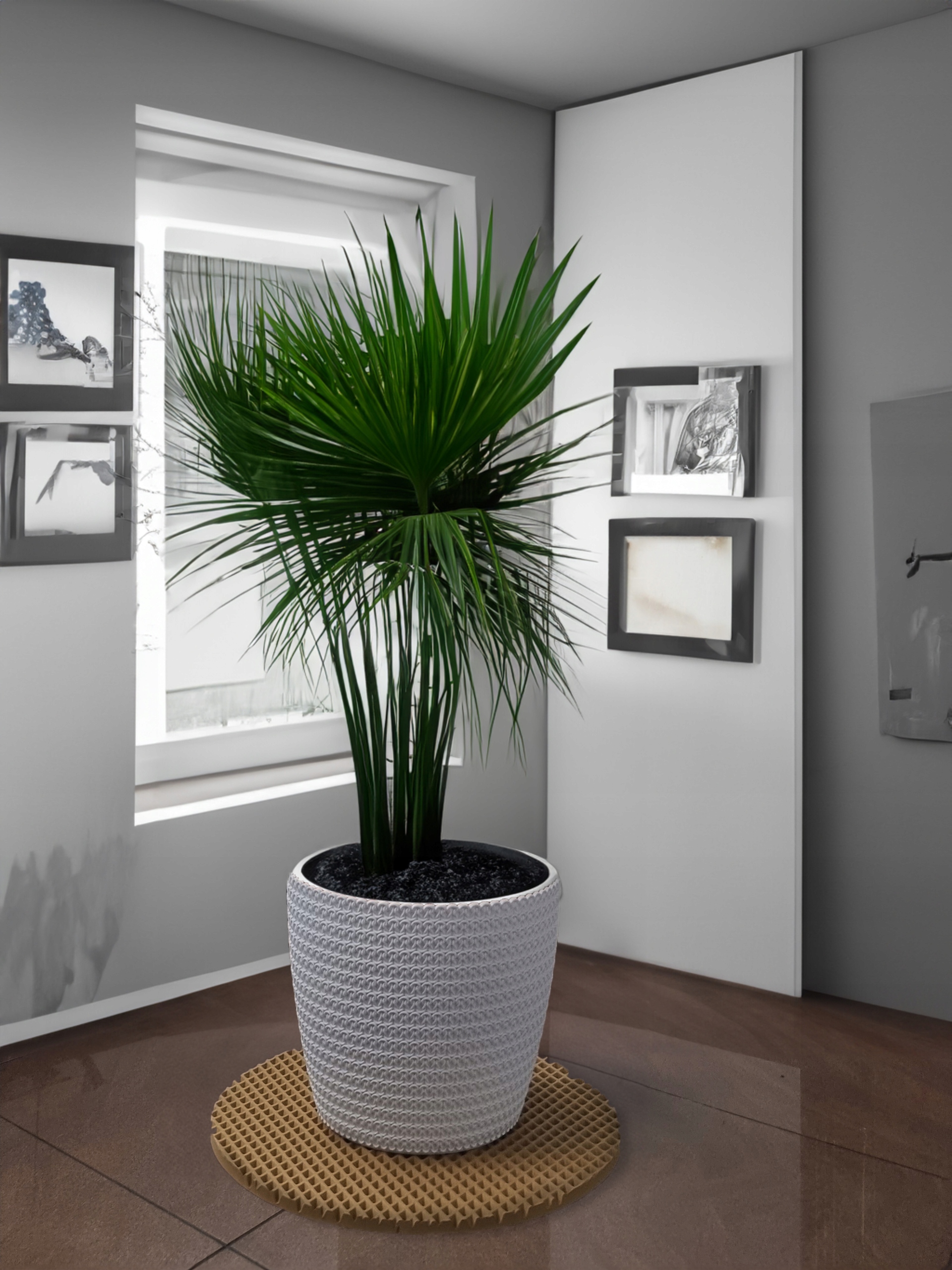 Okrągła podstawka pod doniczkę i donice EVA HOME - BEŻOWA - 44cm Stan opakowania oryginalne