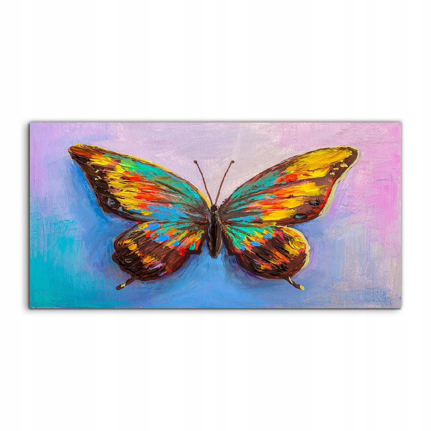 Akrylový fotoobraz 120x60 na stenu Motýľ Hmyz Krídla