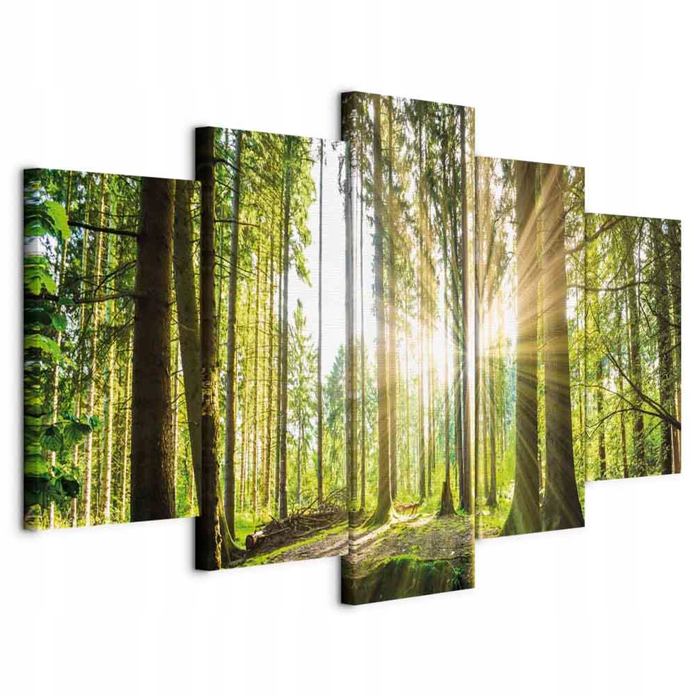 Obraz 5 Dílů Triptych Les Stromy Příroda Lesní Krajina Do Obývacího Pokoje 200x100