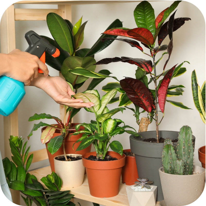 NAWÓZ W PŁYNIE 1l DO ROŚLIN ZIELONYCH FLOROVIT 1kg KONCENTRAT Stan opakowania oryginalne