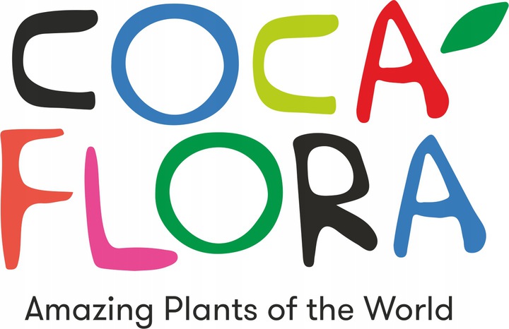 CocaDoctor Preparat Do Roślin Zielonych ANTY-Grzyb ŚRODEK PRZECIWGRZYBICZNY Producent Cocaflora