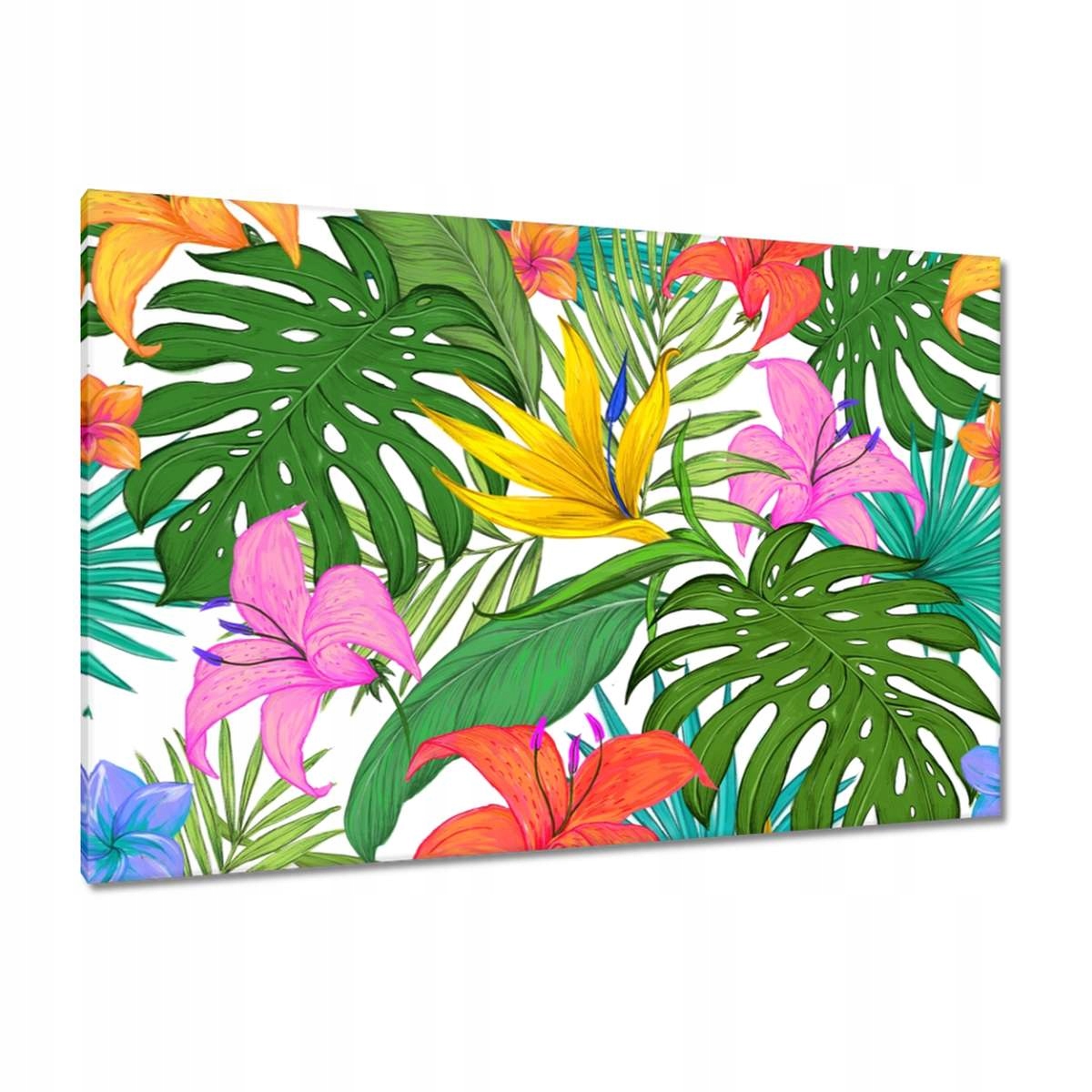 Obrazy 120x80 Tropické listy Leaves