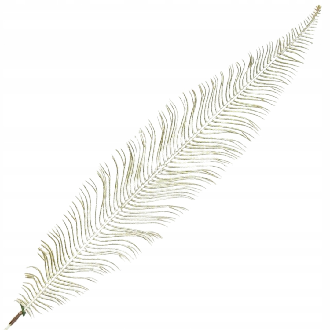 

[680453] Gałązka metalizowana złota 57cm