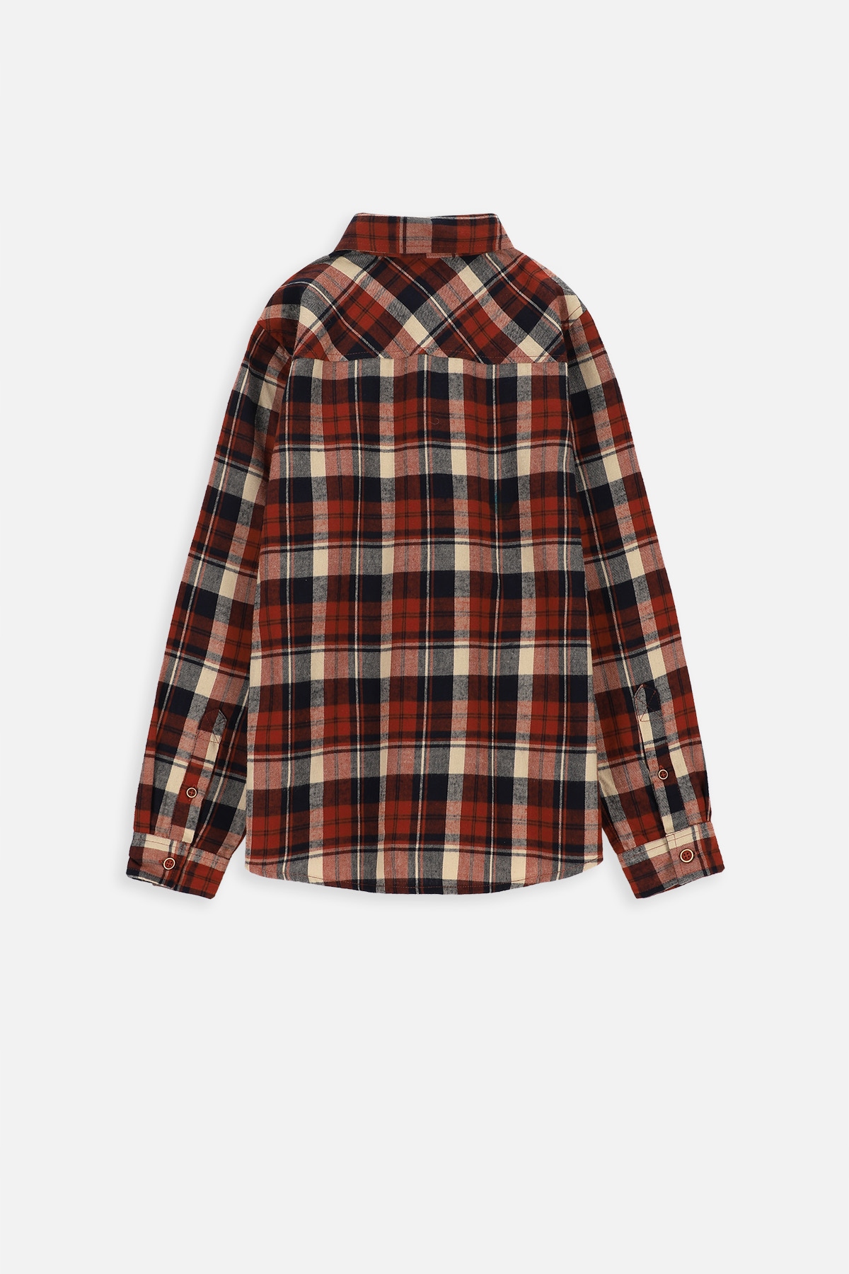 Koszula dla chłopca kolorowa 146 Coccodrillo Kod producenta 5904986217801