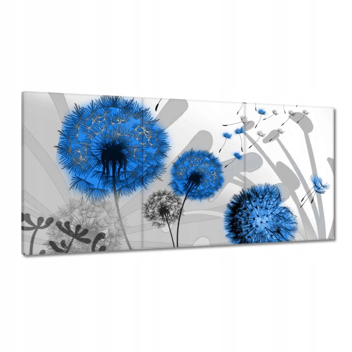 Obrazy 180x90 Modré dúchadlá