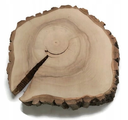 Dřevěný plát Vlašský ořech broušený 38-41 cm 4 cm Unikát