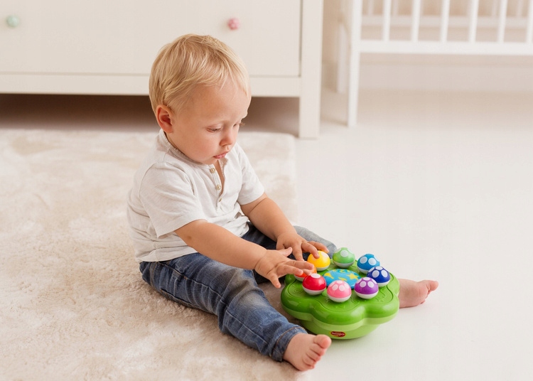 DUMEL DISCOVERY Symfonia Grzybków 62371 Płeć chłopcy dziewczynki