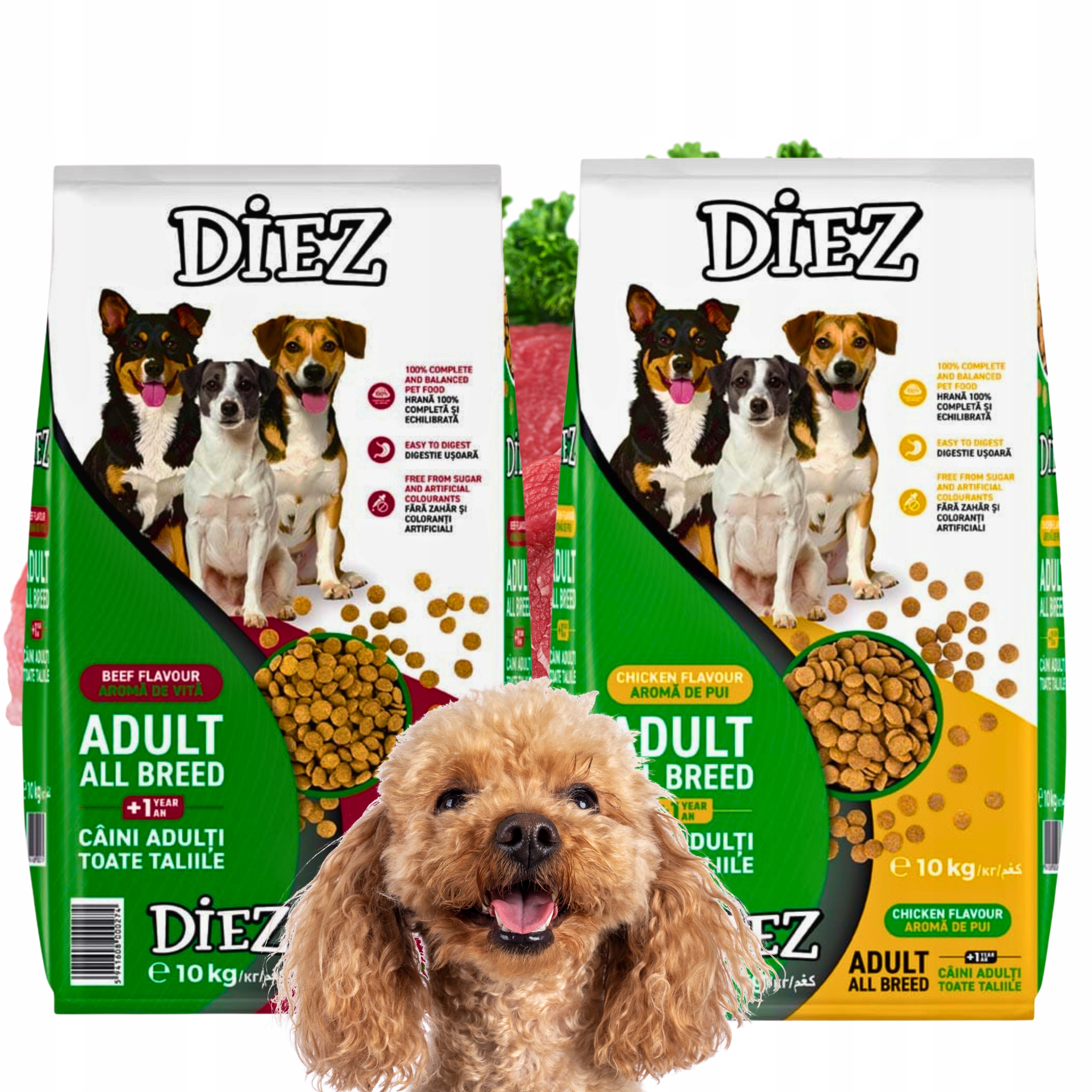 Levně Suché Krmivo pro dospělého psa Kompletní kuřecí maso Diez x 2 10 kg