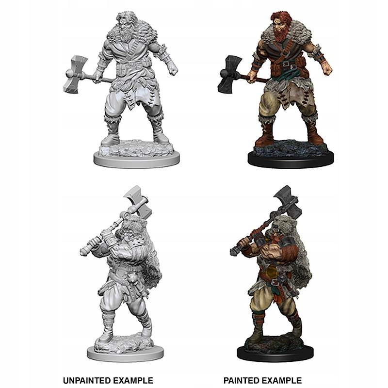 DnD Nolzur's Marvelous Human Male Barbarian