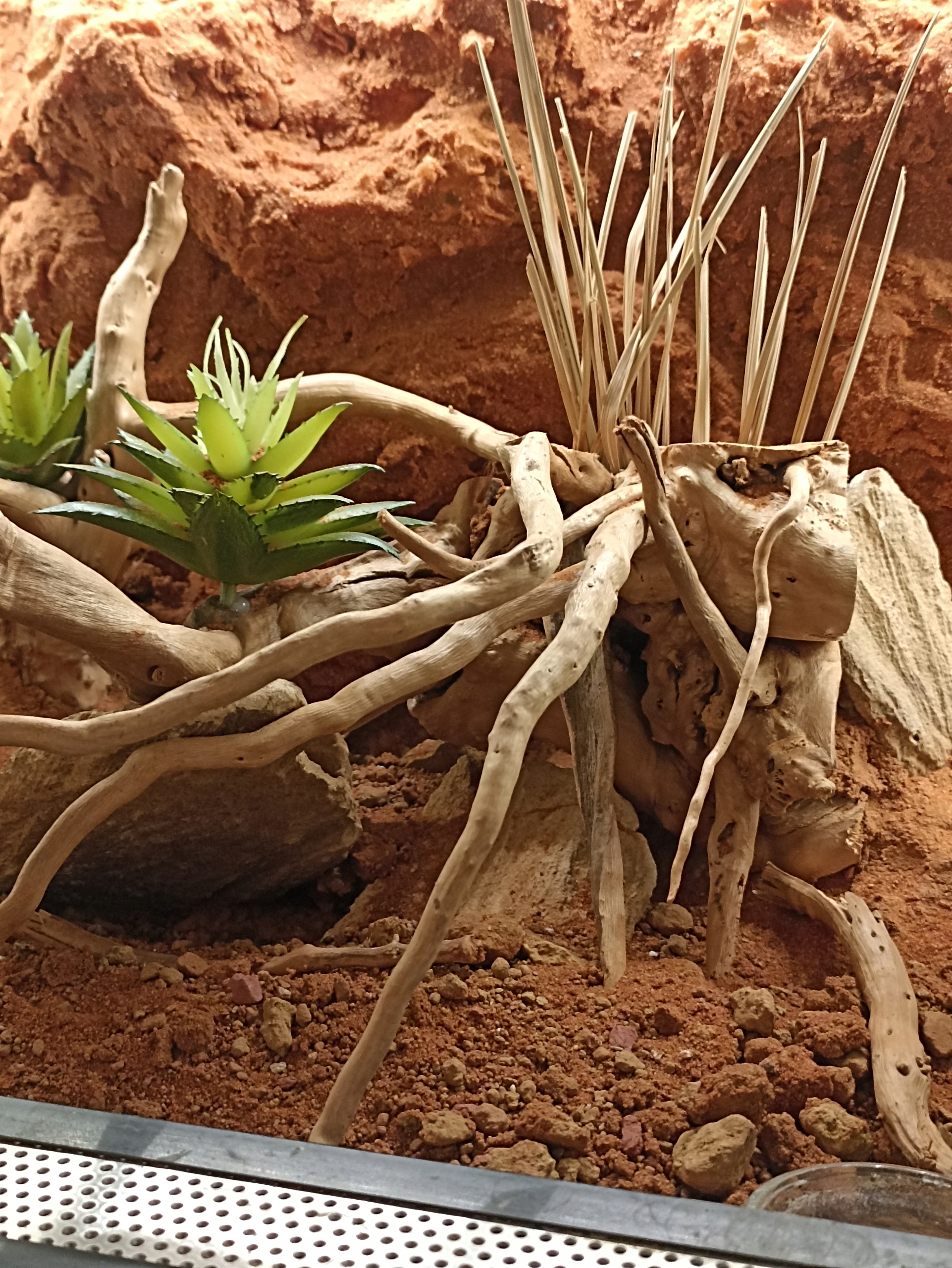 

Podłoże pustynne Stone Desert czerwone 5kg