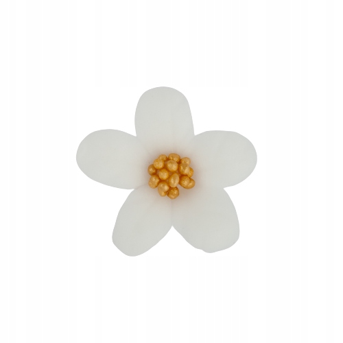 Jaśmin biały 8 x 10 szt.