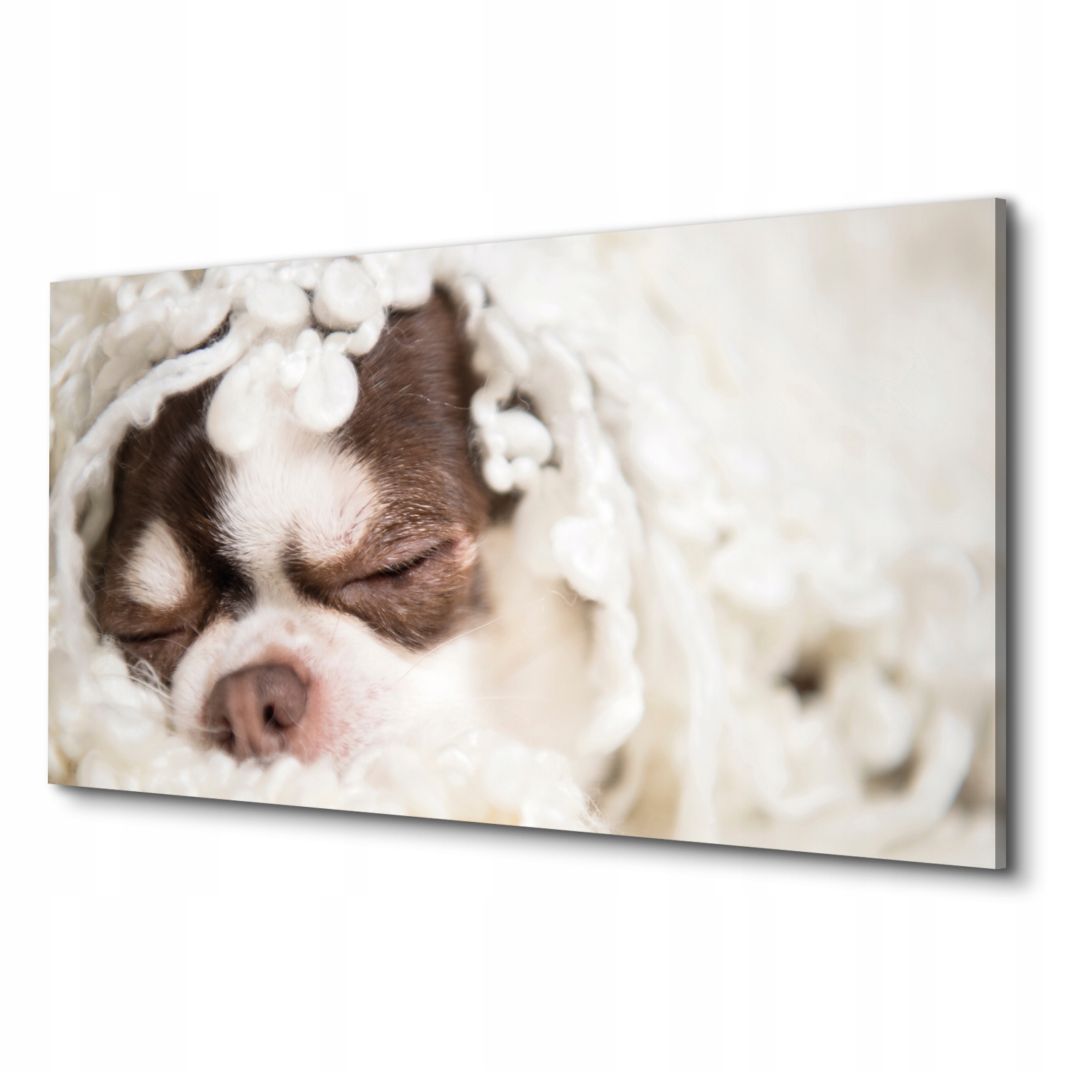 

prostokąt Canvas do pokoju piesek kocyk sen 100x50