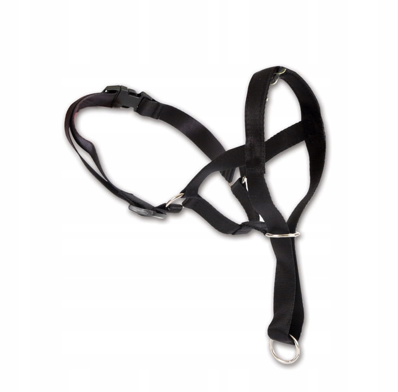 

Dingo Kaganiec Dla Psa Uzdowy Kantar M