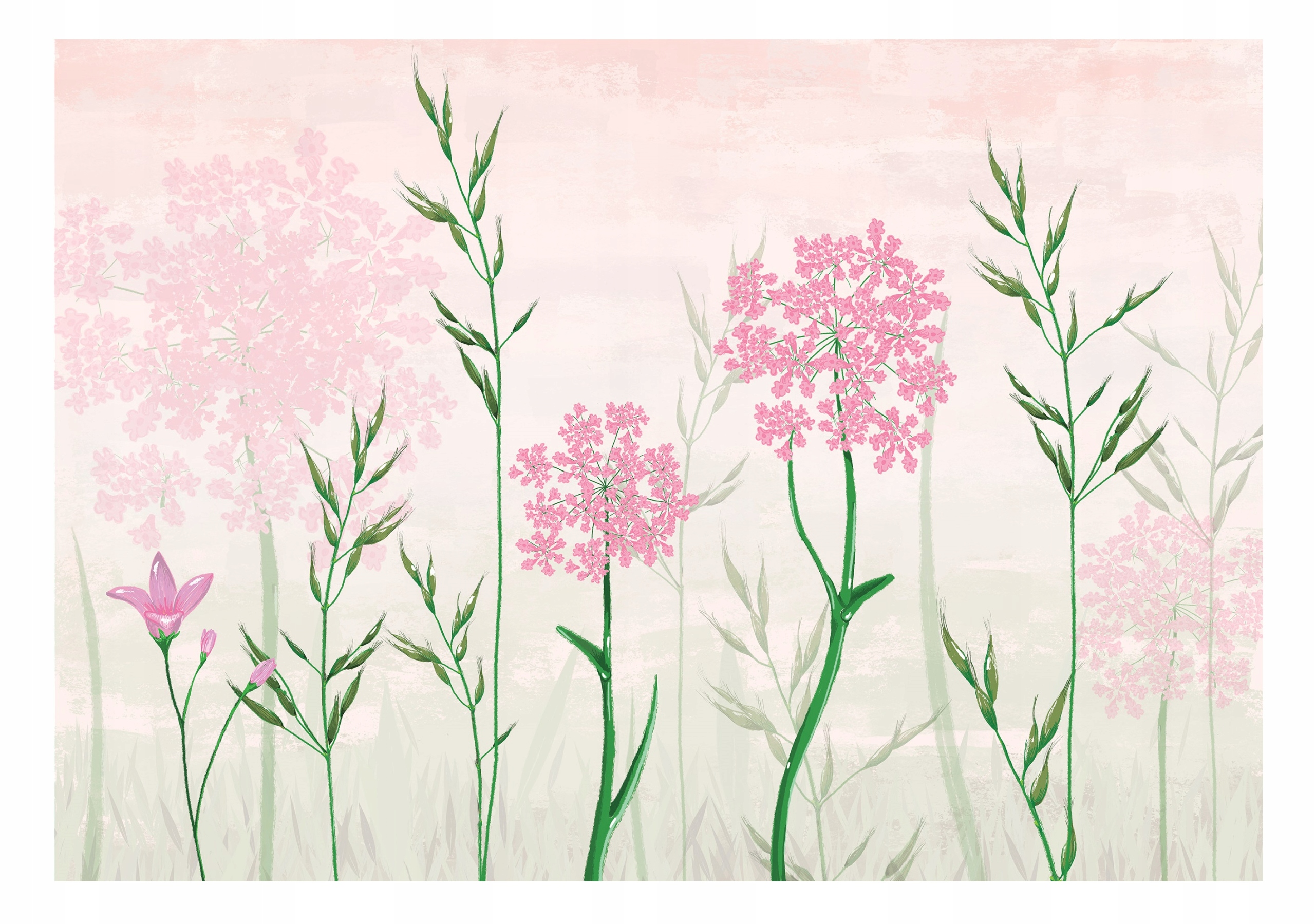 Fototapeta S Polními Květy Nástěnná Obývací pokoj 416x254