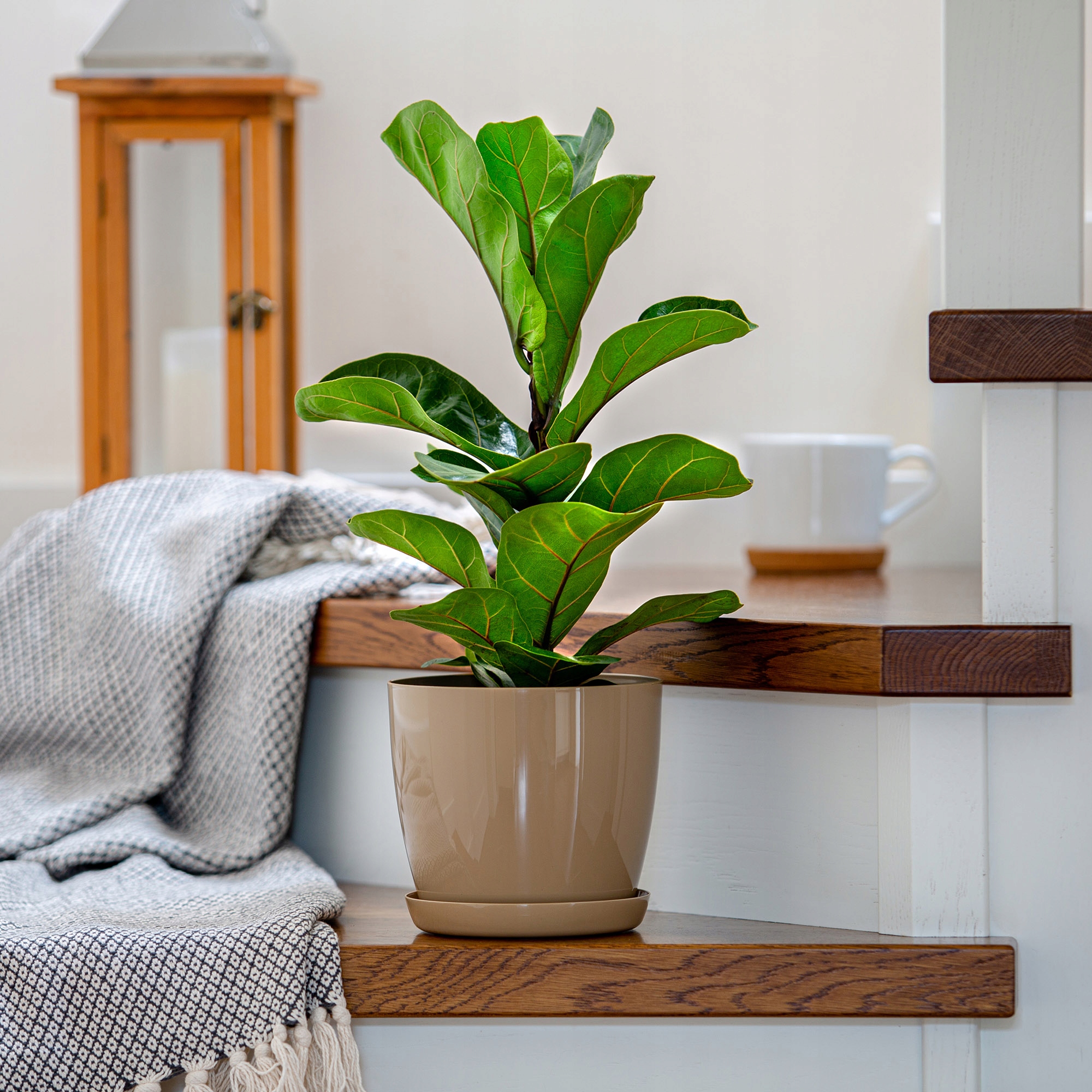 DONICZKA Z PODSTAWKĄ PLASTIKOWA OSŁONKA DONICA 16cm BEŻOWA NA KWIATY KADAX Kod producenta K1045