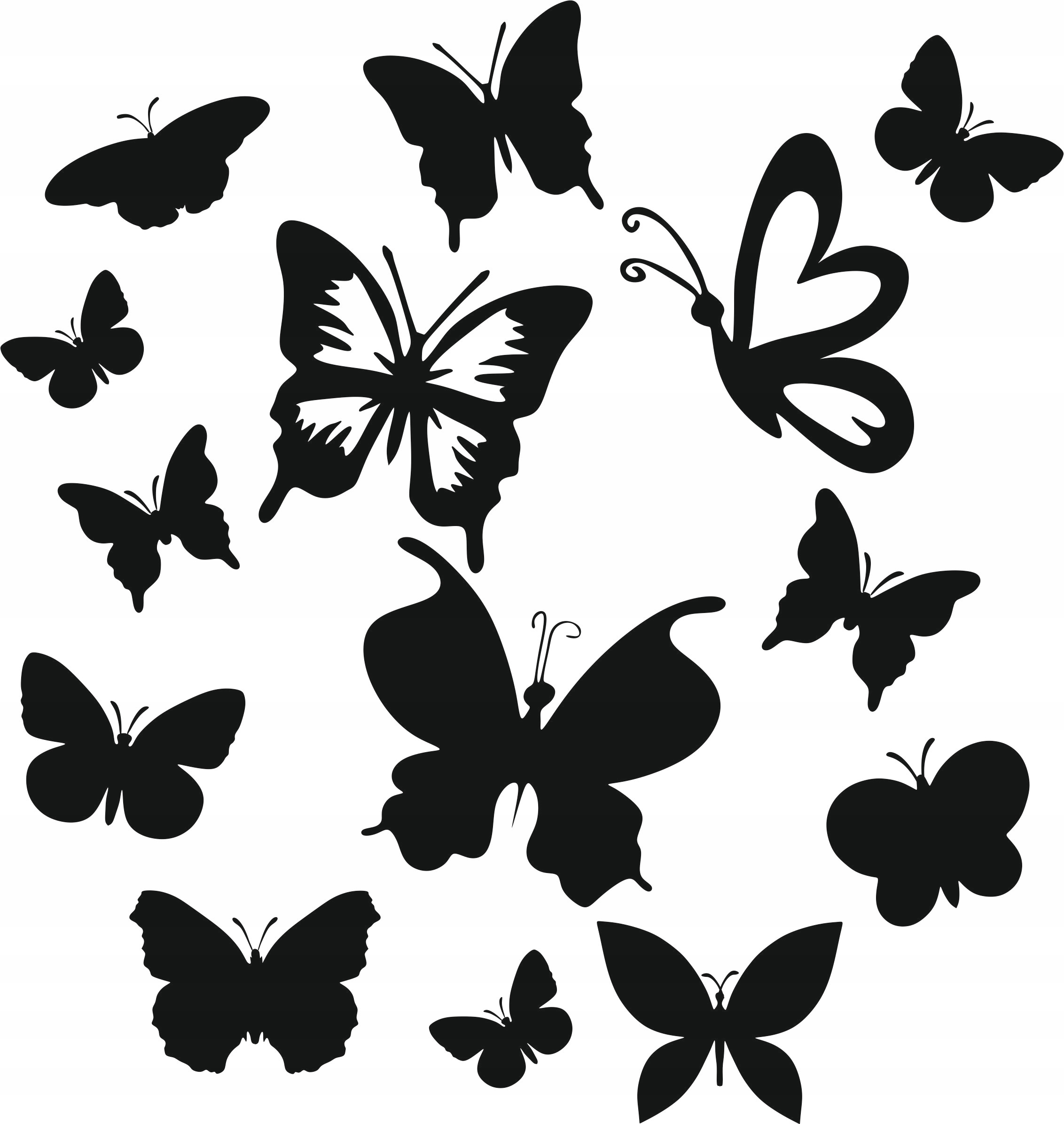 

Naklejki na samochód Motyle Motylki różne XXL