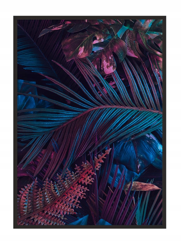 

Obraz Plakat W Ramie 53x73 cm Liście P945