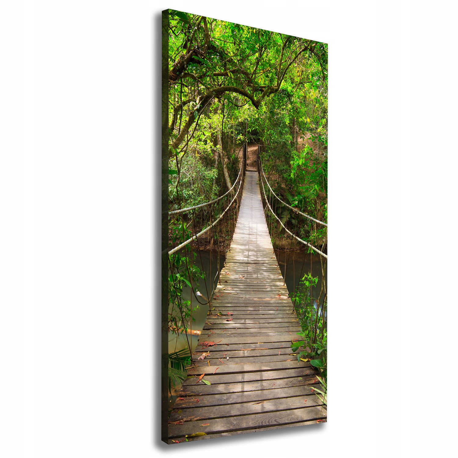 

Foto obraz canvas do salonu Most wiszący 50x125