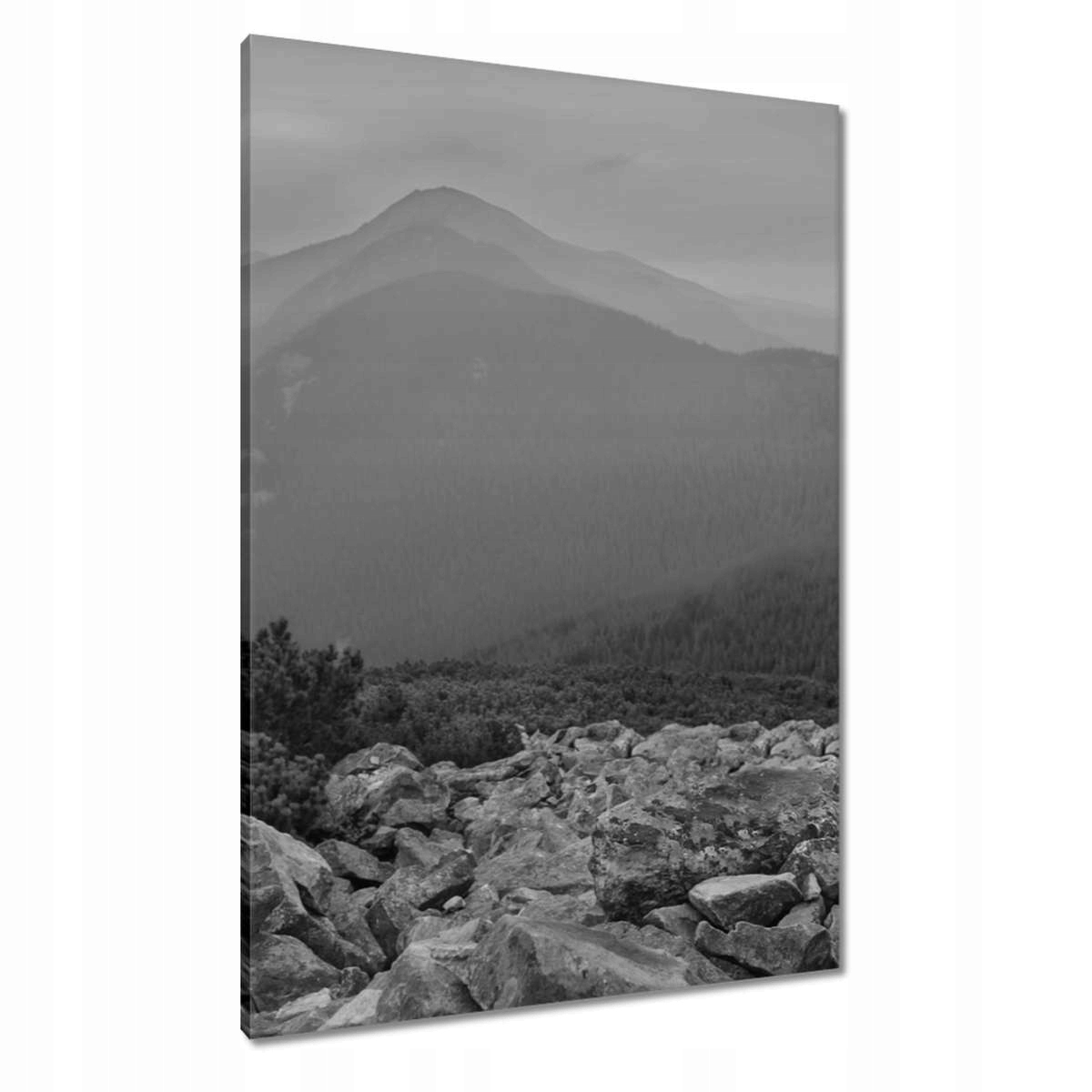 Obrazy 70x100 Horská krajina Krajina