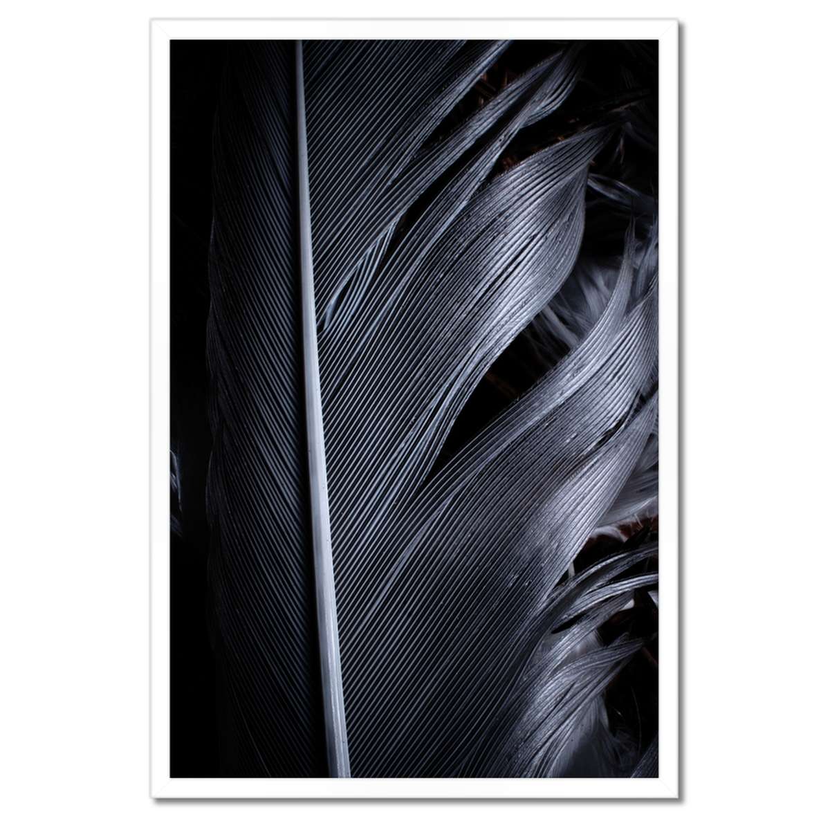Plakáty v rámu 40x60 Černé pero v přiblížení