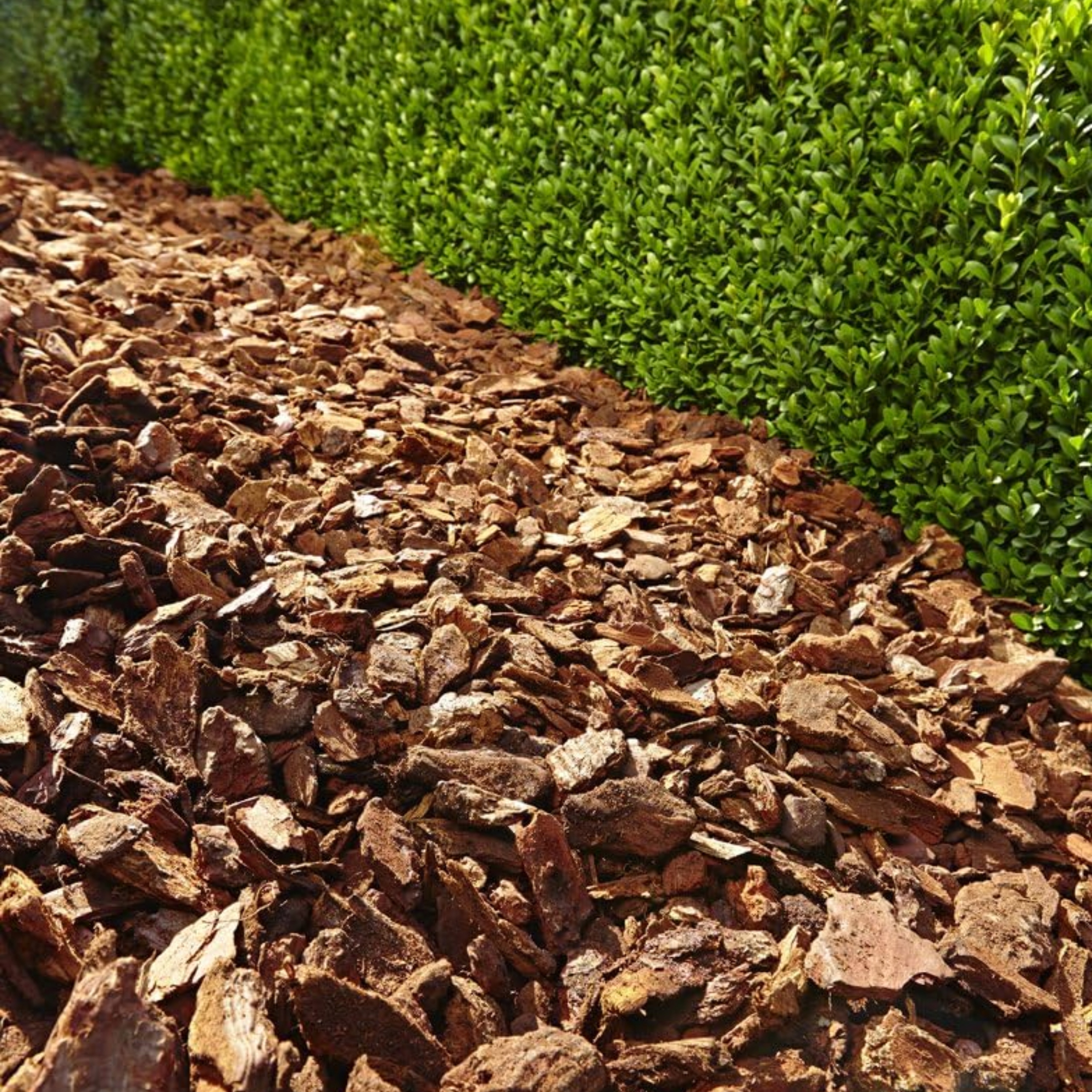 KORA SOSNOWA GRUBA XXL 5-15cm 60L OGRODOWA DEKORACYJNA RĘCZNIE SORTOWANA Kod producenta FRAKCJA GRUBA XXL GRANULACJA 50-150 mm 60L